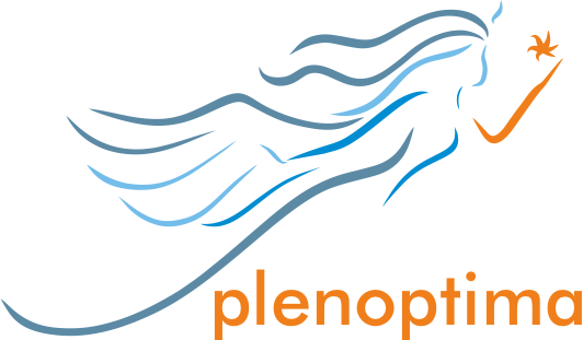 Plenoptima Workshop 2: Plenoptic Media Production